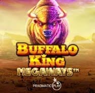 TipTop Bet Casino Buffalo King